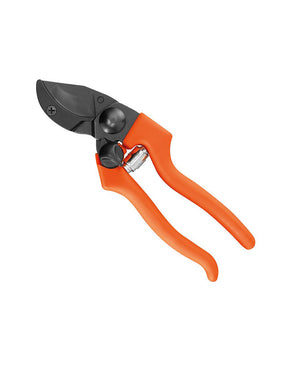 FORBICE DA VIGNA PATIN 6 AUSONIA 31136 - Settanni