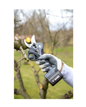 FORBICE ELETTRICA DIANA 35 per potatura 31817 AUSONIA - Settanni