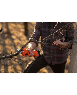 FORBICE ELETTRICA MAGMA E-35 TP 21 V STOCKER art.621 - Settanni