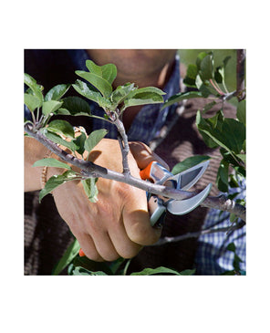 FORBICE PROFI AMBOSS 21 STOCKER art. 335 - Settanni