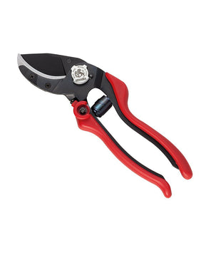 FORBICE VIGNA EVO 6 AUSONIA 31086 - Settanni