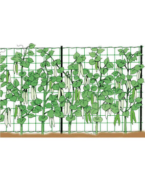 RETE RAMPICANTE 1,5X50 mt STOCKER art. 4587 - Settanni