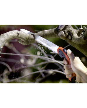 SEGHETTO MAESTRAL 250 STOCKER 1514 - Settanni