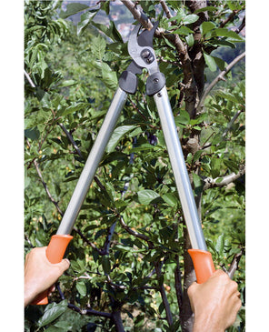 TRONCARAMI BYPASS LOWE CM 65 STOCKER 71065 - Settanni