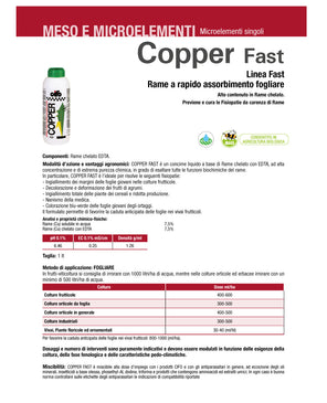 COPPER FAST NEW LT.1 CIFO - Settanni