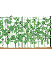 RETE RAMPICANTE 1,5X25 mt STOCKER art. 4589 - Settanni