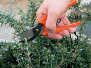 STOCKER FORBICE PER FIORI 17 CM.