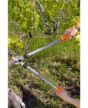 TRONCARAMI BYPASS LOWE CM 50 STOCKER 31050 - Settanni