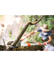 TRONCARAMI TELESCOPICO AMBOSS CM. 75-100 STOCKER 2092 - Settanni